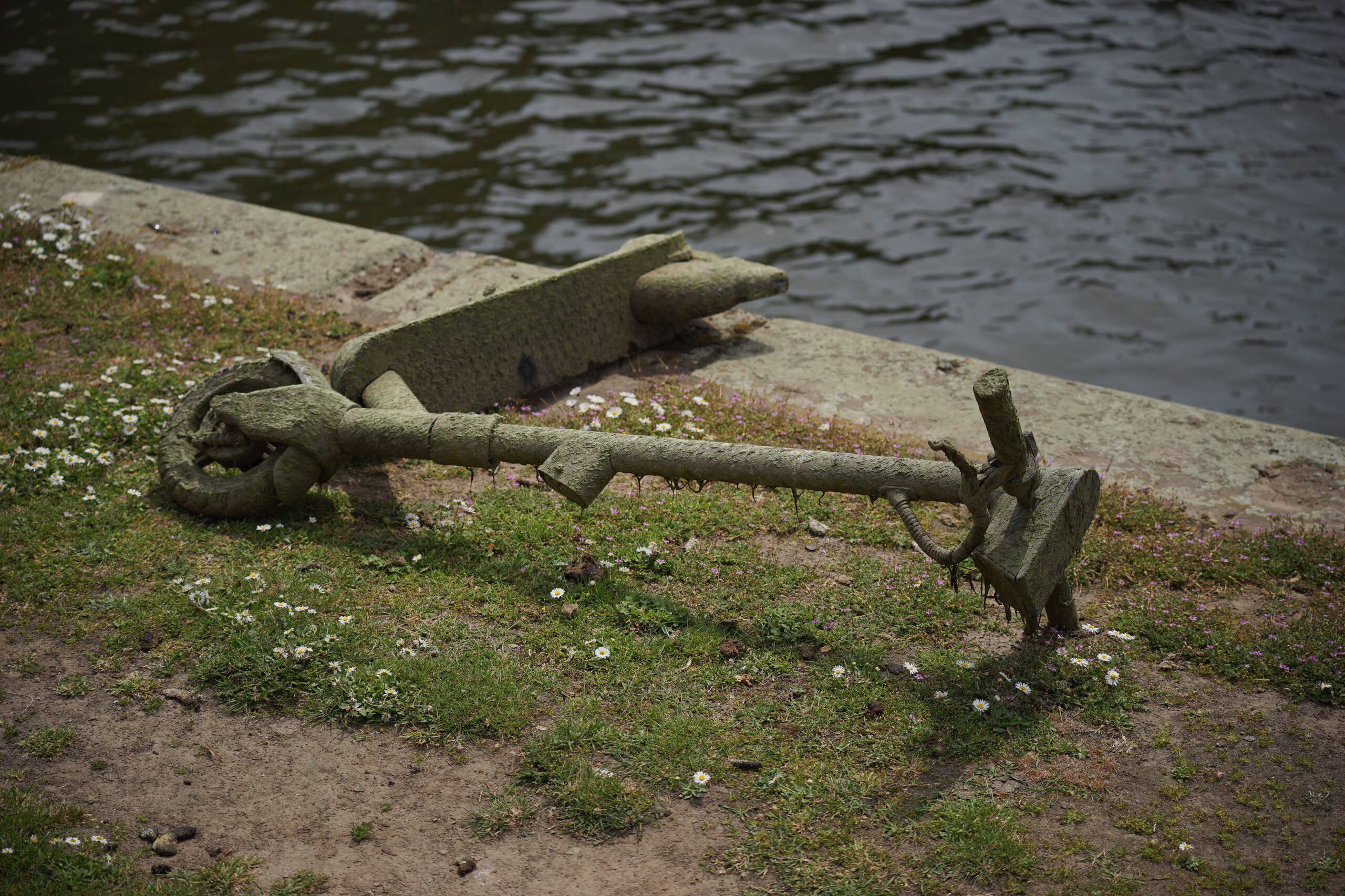 An image of moss scooter.